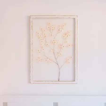 Domo House ゲストハウス