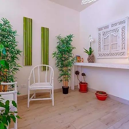 招待所 Domo House