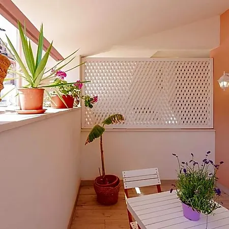 Domo House 3* 维拉西米乌斯