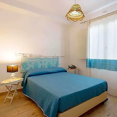 Domo House 3* 维拉西米乌斯